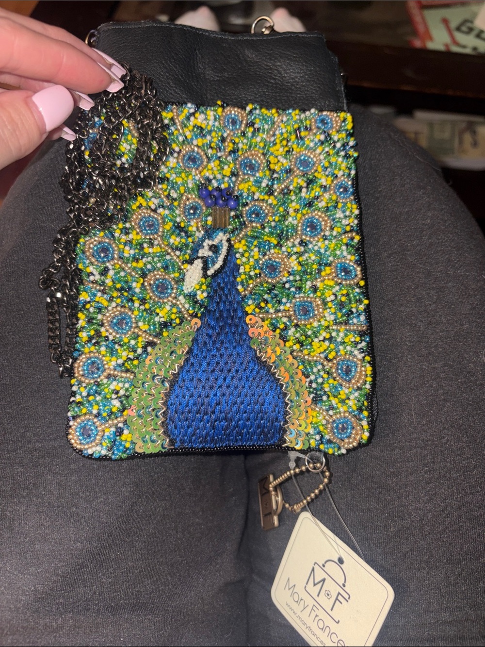 MARY FRANCES NWT purse